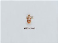 藏品(三斑叉紋苔蛾)的圖片